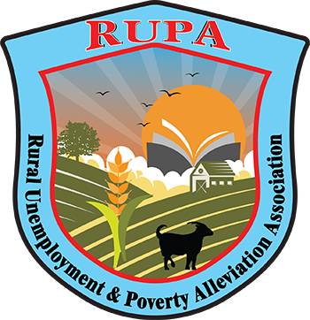 Rupa